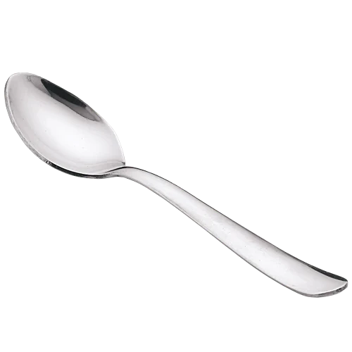 Stainless Steel Spoon