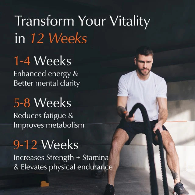 Ayumi Himalayan Shilajit Pure Resin 30g