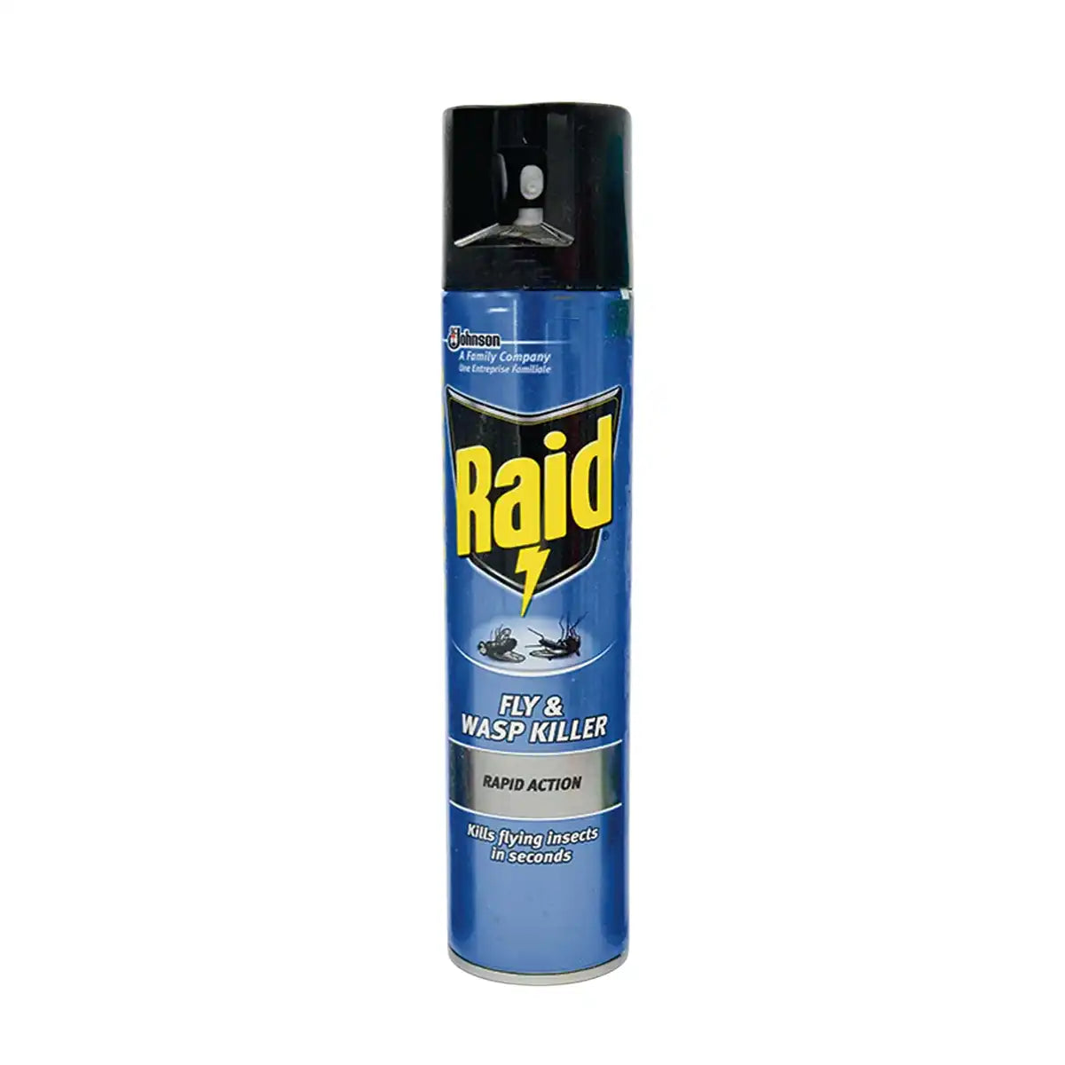 Raid Fly and Wasp Killer 300ml