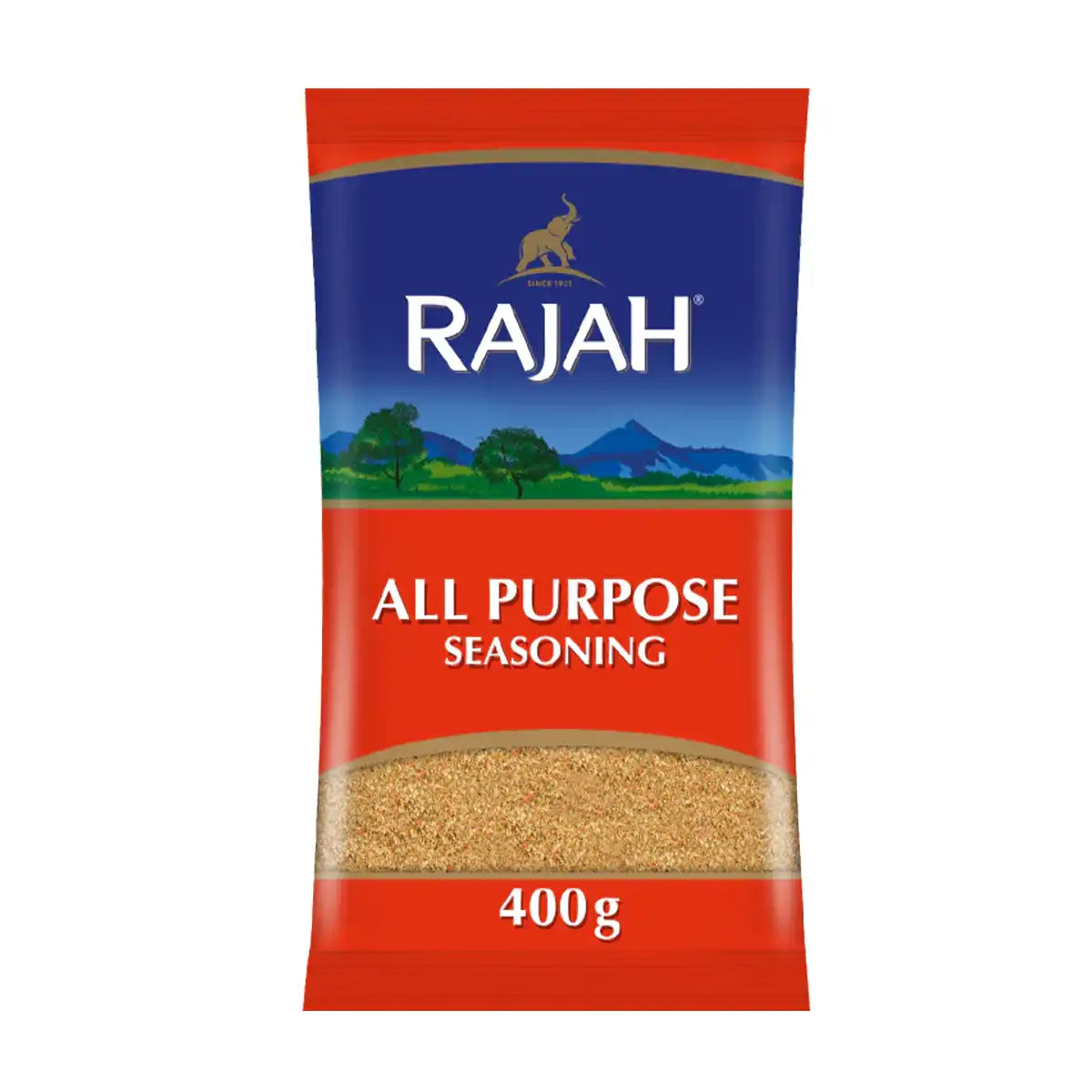 Rajah All Purpose Seasoning 400g